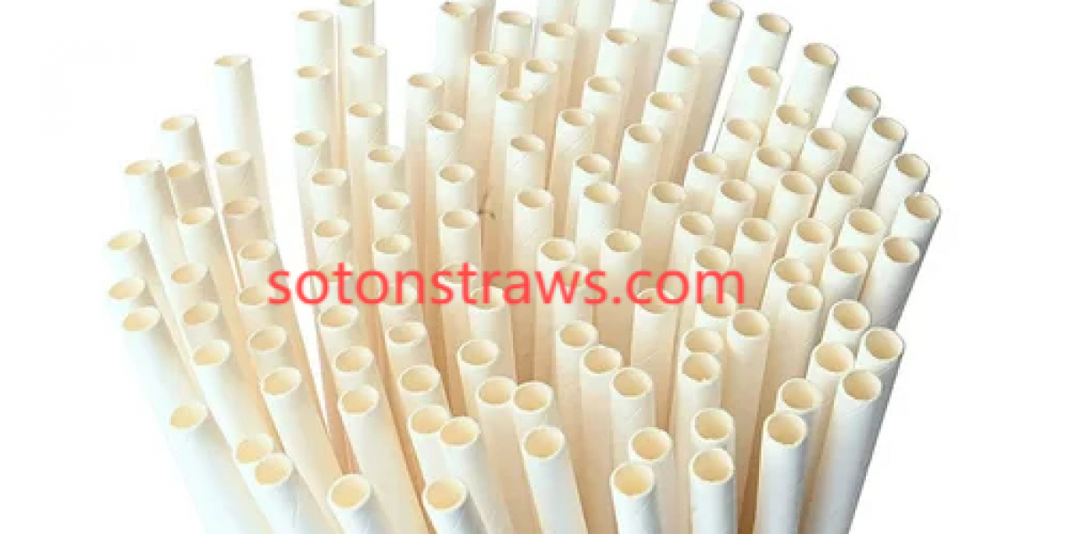 Soton Paper Straws Manufactory: Merging Sustainability with Creative Brand Partnerships