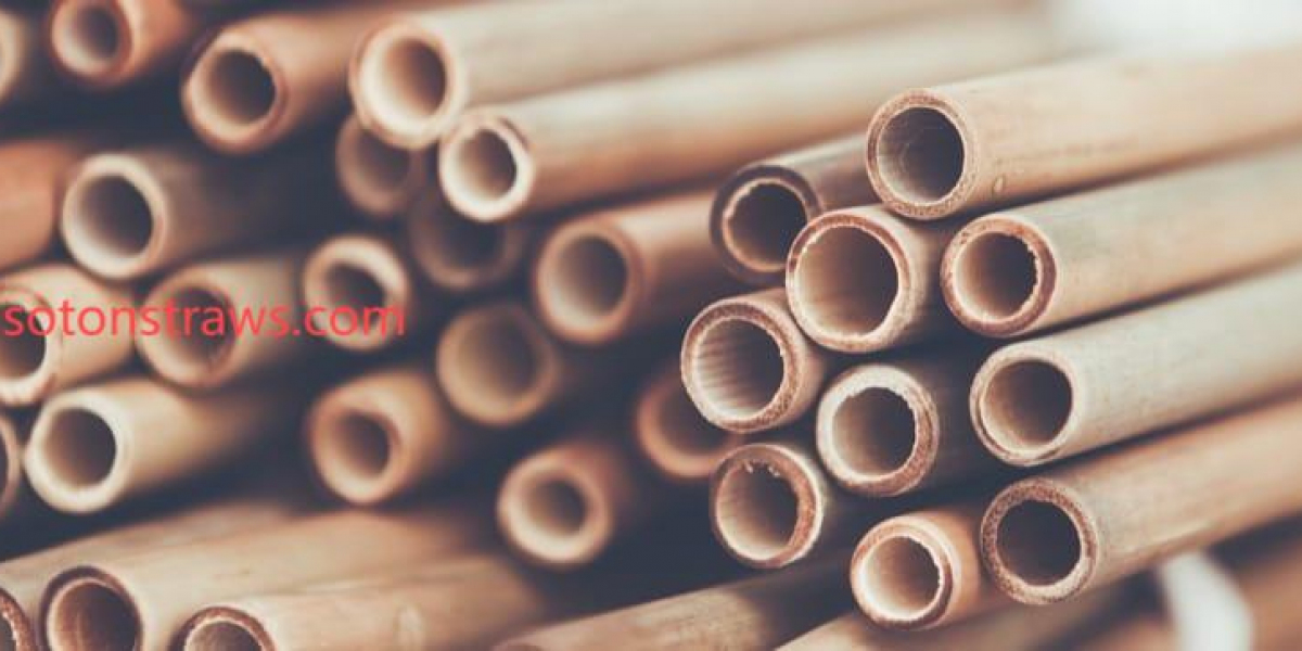 Soton’s Symphony of Straws and Soil