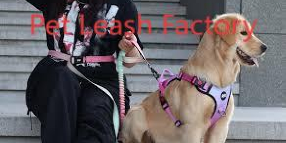 What Makes a Quality Dog Leash Stand Out