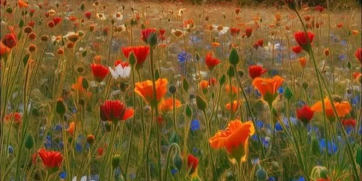 Pipeline Inbox upon Thayron Liranzo Bubba Chandler Tre Morgan Justin Crawford