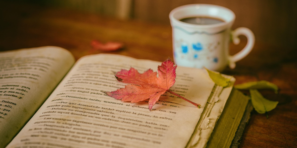 Book Illustration: Bringing Stories to Life Visually