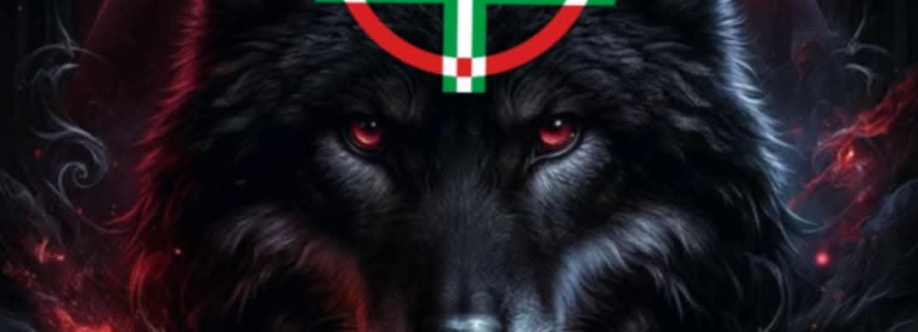 Polovics Zoltán Cover Image