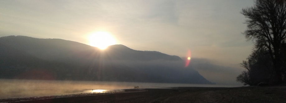 Attila Jászi Cover Image