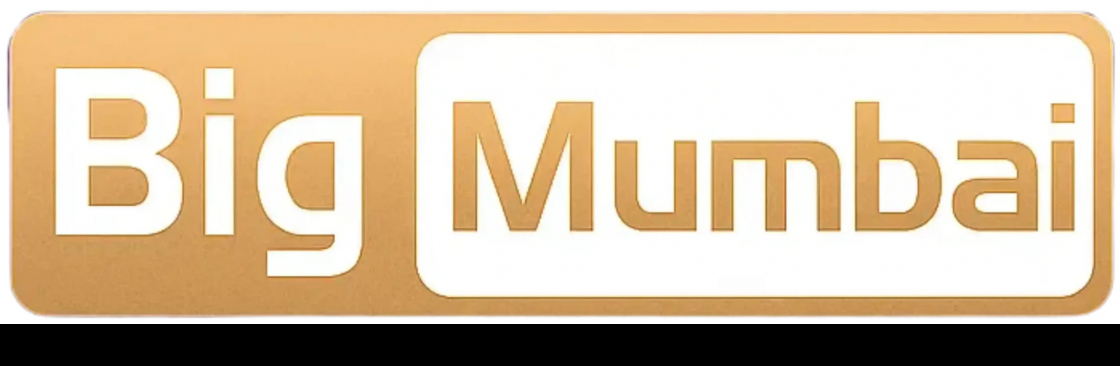 The Big Mumbai Cover Image