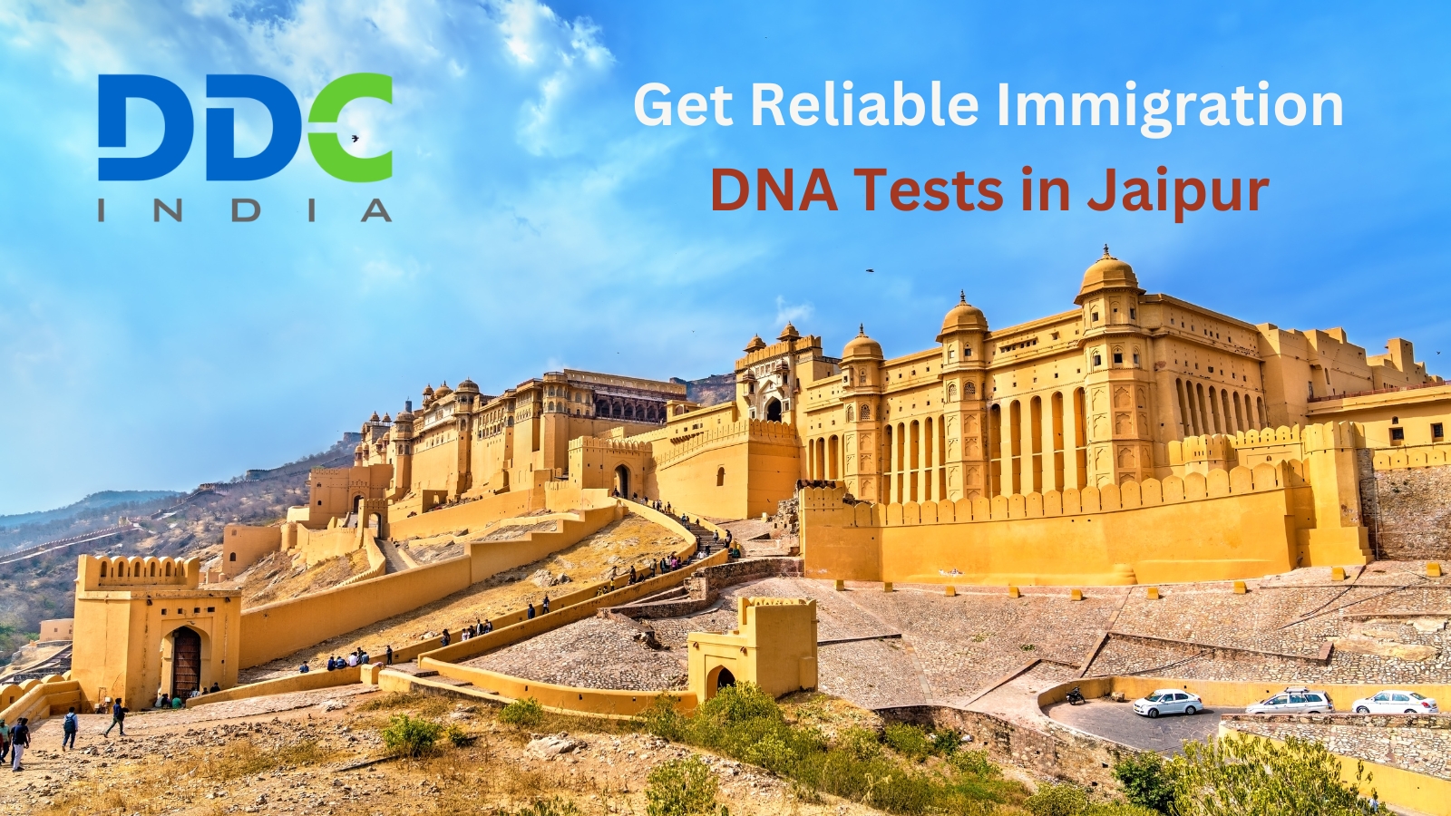 Speed Up the Sponsored Immigration Visa Process with a DNA Test in Jaipur - AtoAllinks