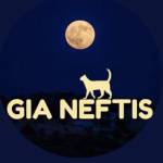 Gia Netfis profile picture