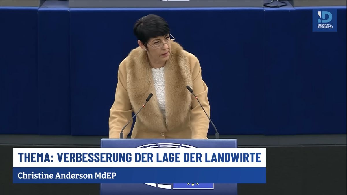 Christine Anderson: Az alkotmány igazi ellenségei ülnek a kormányban! - Orvosok és Egészségügyi Dolgozók a Tisztánlátásért