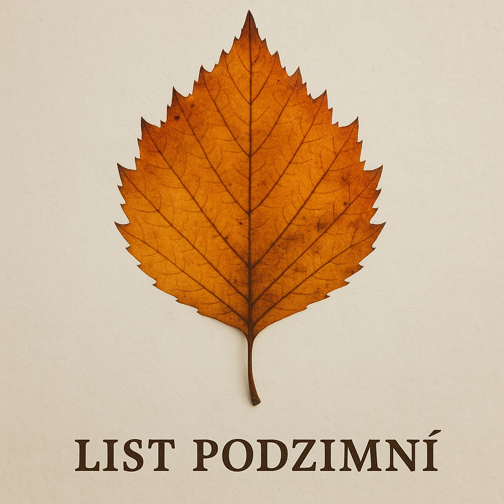 Popis obrázku