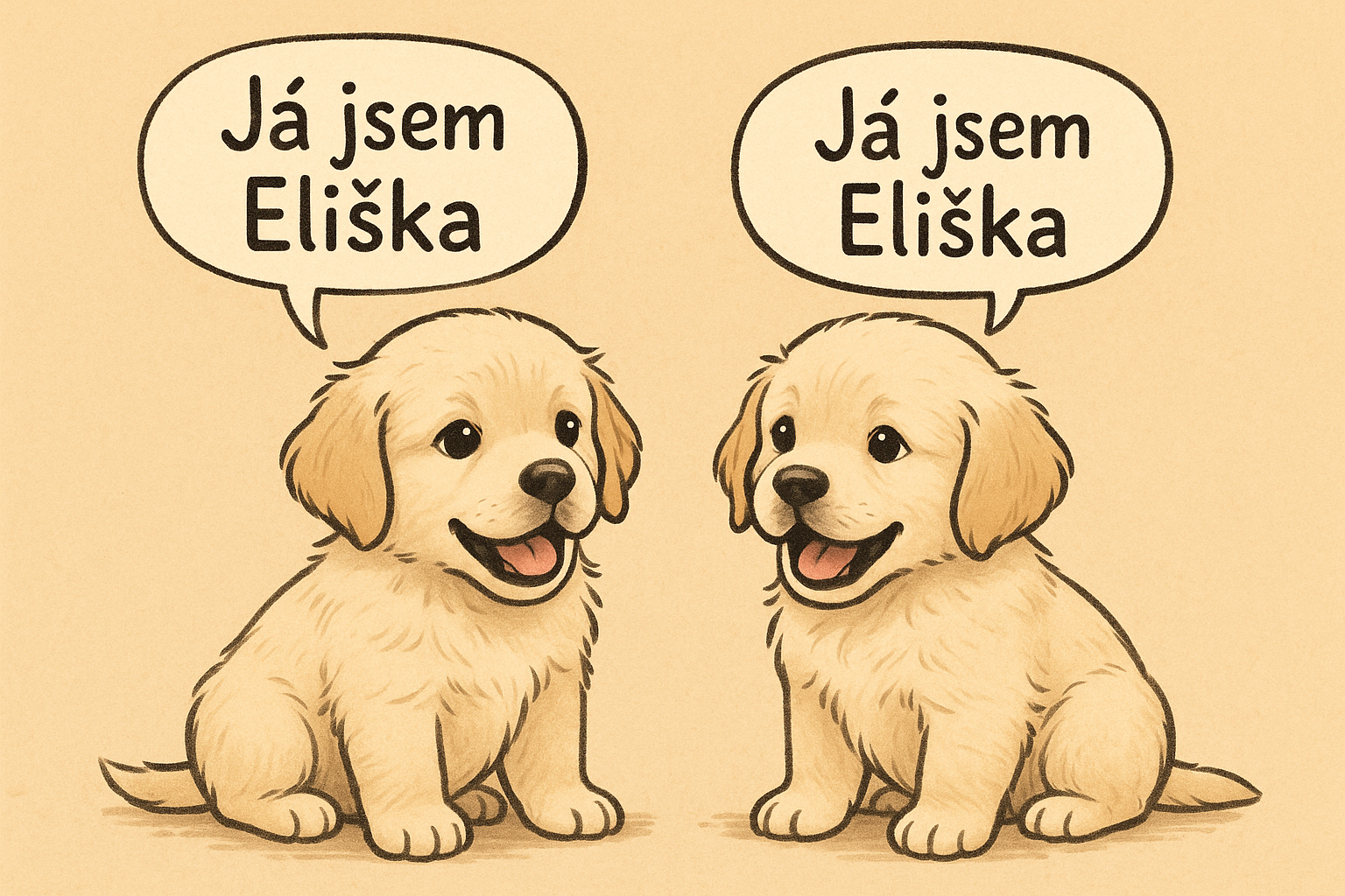 Popis obrázku