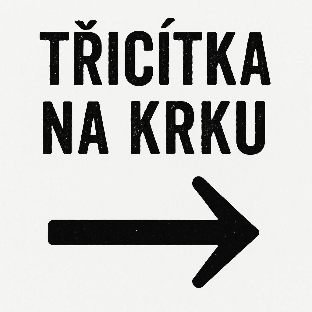 Popis obrázku