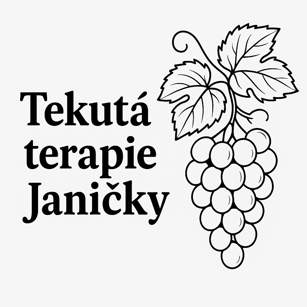 Popis obr&aacute;zku